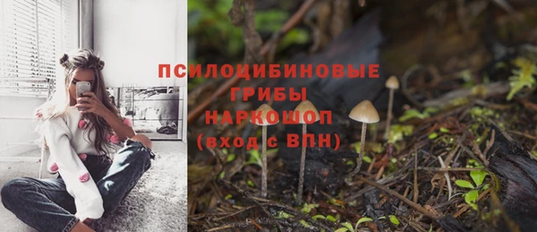 МДПВ Алексин