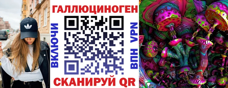 дарнет шоп  Железногорск  Галлюциногенные грибы Psilocybe 